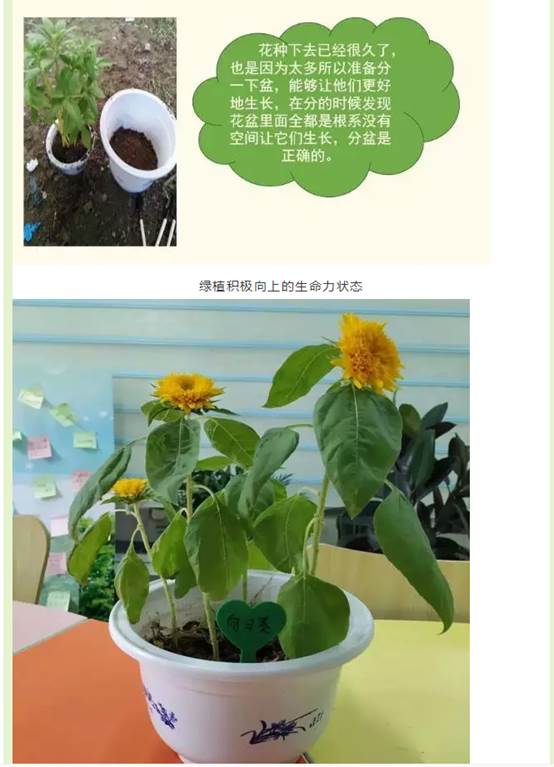 ylzzcom永利总站